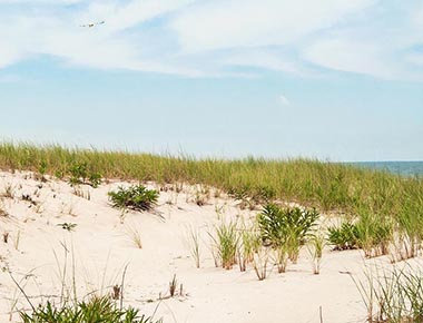 Henderson Beach State Park